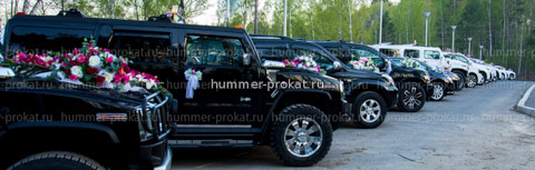 Аренда авто на свадьбу в Новосибирске